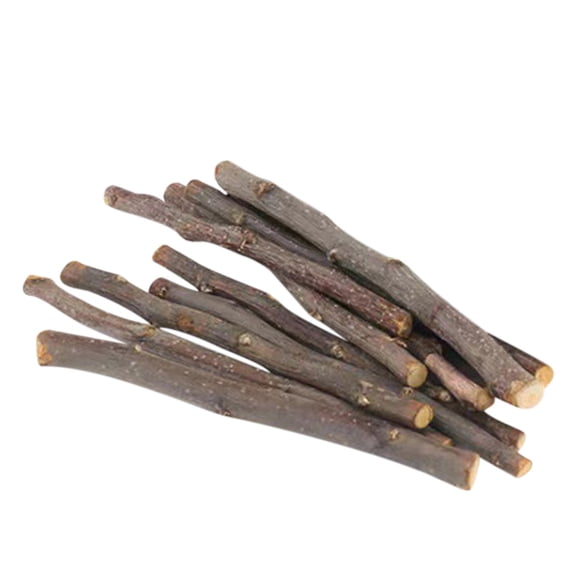 2026 New Tech 50g Sticks Pet Chew Toy for Squirrel Hamster Bunny