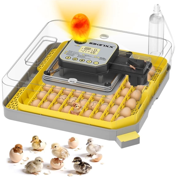 2026 New Upgraded 48 Egg Incubator for Hatching Eggs Auto Egg Turner Precision Humidity Control 360 Clear View Window Chicken Quail Egg Incubator Yellow Incubadora De Huevos De Gallina