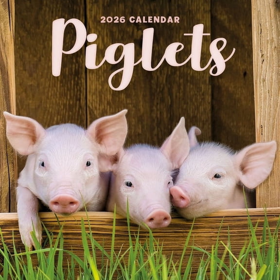 2026 Piglets Mini Wall Calendar, (Paperback)