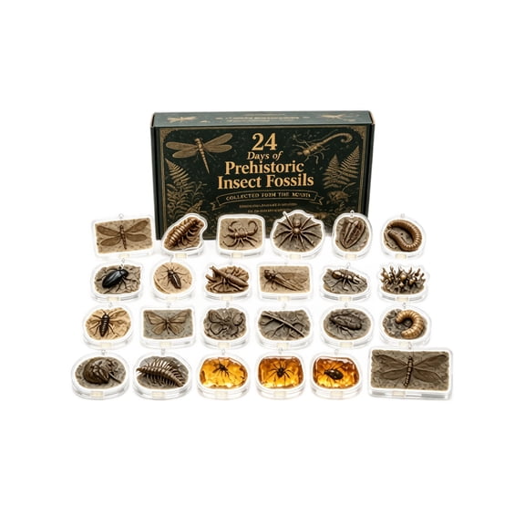 2026 Prehistoric Insect Fossils Advent Calendar, 24Day Countdown Blind Box with Assorted Ancient Insect Fossil Specimens, Prehistory Science Collectible Kit, Holiday Gift for Hobbyists & Enthusiasts