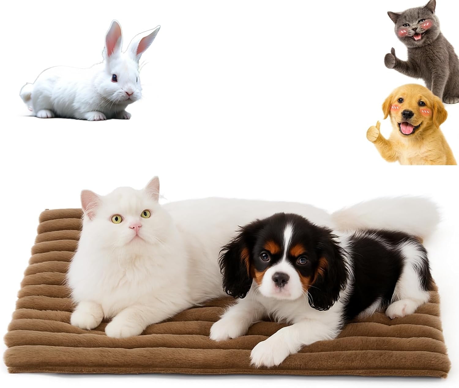 2026 Self-Warming Pet Mat, S/M/L/XL Anti-Slip Washable Heating Bed for Dogs Cats Rabbits, Ultra-Soft & Crinkle-Free Calms Anxious Pets, Built for Cozy Winters