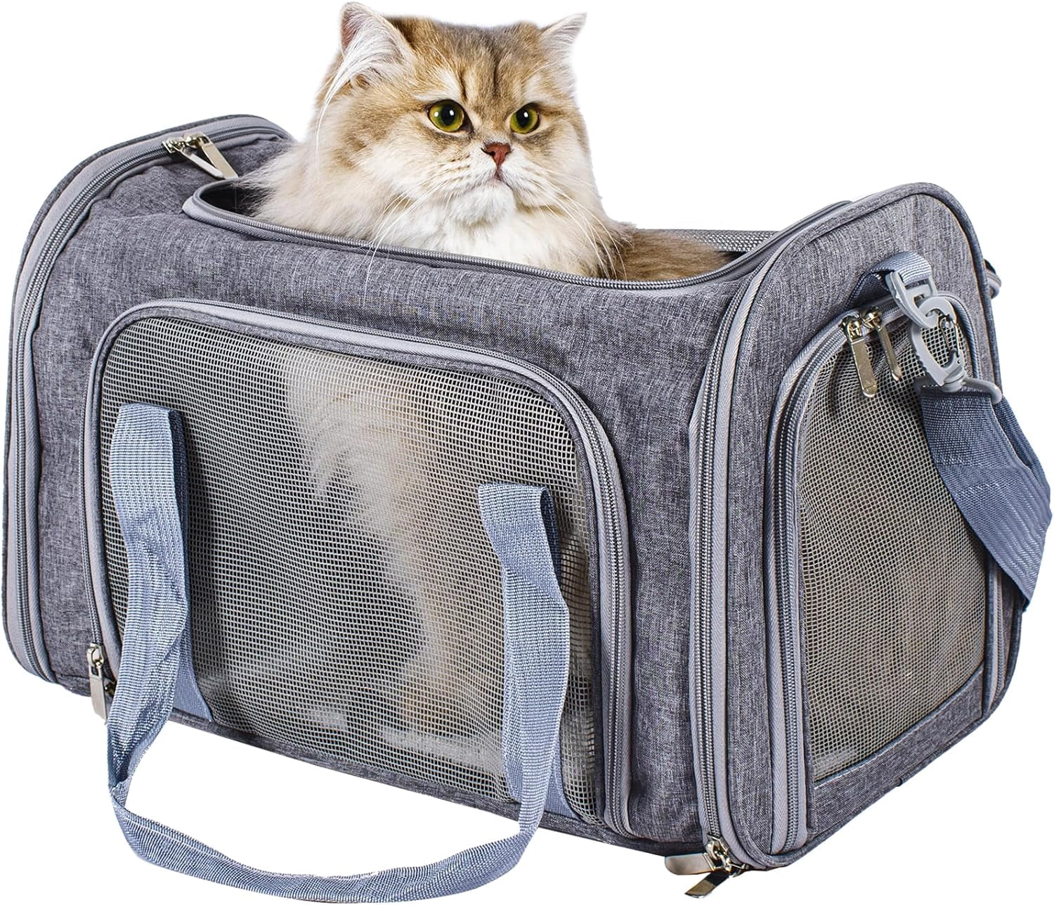 2026 Soft-Sided Cat/Dog Carrier, Car Travel Pet Carrier Up to 16LB with Backpack Straps & Removable Washable Pad, Collapsible Mesh Puppy Carry Bag for Small Animals