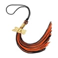 thumbnail image 1 of 2026 Tassel Graduation,Rainbow Tassel 2026 for Grad Cap and Graduation Ceremony Accessory Decoration, 1 of 5