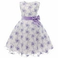 thumbnail image 1 of 2026 Toddler Girls Dresses Embraoidered Lace Lace Permance Christmas Party Flower Bridesmaid Long Wedding Pageant Party Princess Dress Size 4-5 Years, 1 of 8