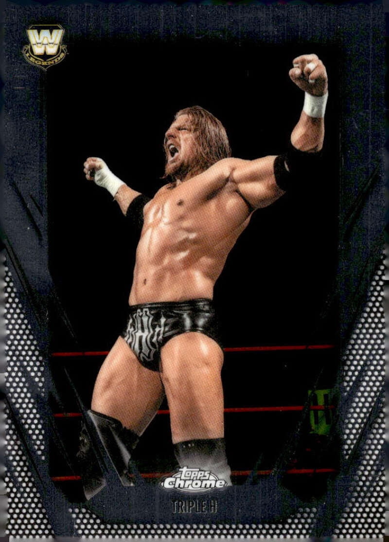Triple H Fan Shop in WWE Fan Shop - Walmart.com