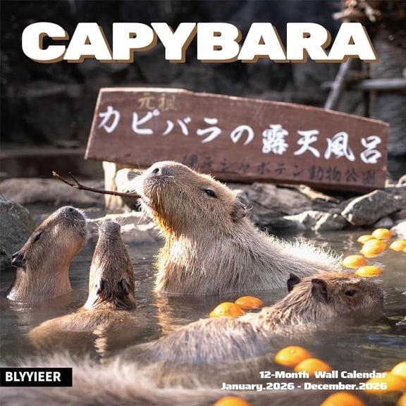 2026 Wall Calendar,Capybara Calendar 2026, Monthly Wall Calendar, 12" x 24" Open,Family Planner Calendar Organizer