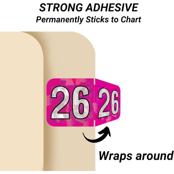 2026 Year Stickers, 2026 Chart Stickers, Holographic Fuchsia Colored, Made Year Labels for End Tab File Folders, 500 Labels per Roll, 1 Roll, 3/4" x 1-1/2"