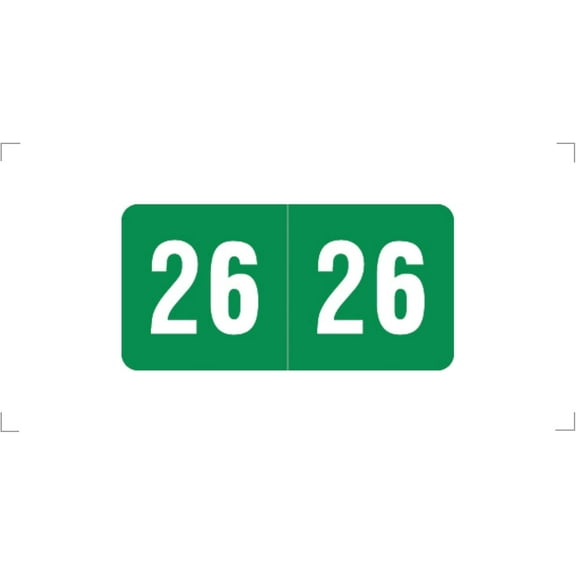 2026  Year Stickers, Green, Compatible with Smead ETS Series,  2026 Chart Stickers, Made Year Labels for End Tab File Folders, 250/Pack, 1 Package, 1/2" x 1" - Small Labels