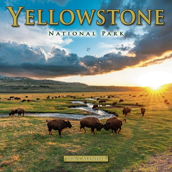 2026 Yellowstone National Park Wall Calendar, (Paperback)