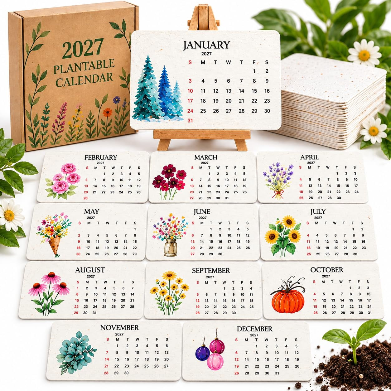 2027 Plantable Seed Calendar 12 Month Wildflower Growing Calendar with ...
