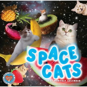 2027 Space Cats Monthly Calendar