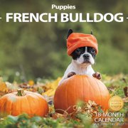 2027 Wall Calendar French Bulldog Puppies Planner Calendar, Hangable Monthly Calendar with Large Blocks for Organizing & Planning, Academic Schedule, For Dogs Lovers Women Men Mom Dad