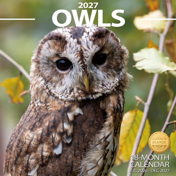 2027 Wall Calendar - Owls Hangable Monthly Planner Calendar with Large Blocks for Organizing & Planning, Academic Schedule, Home, Office & family