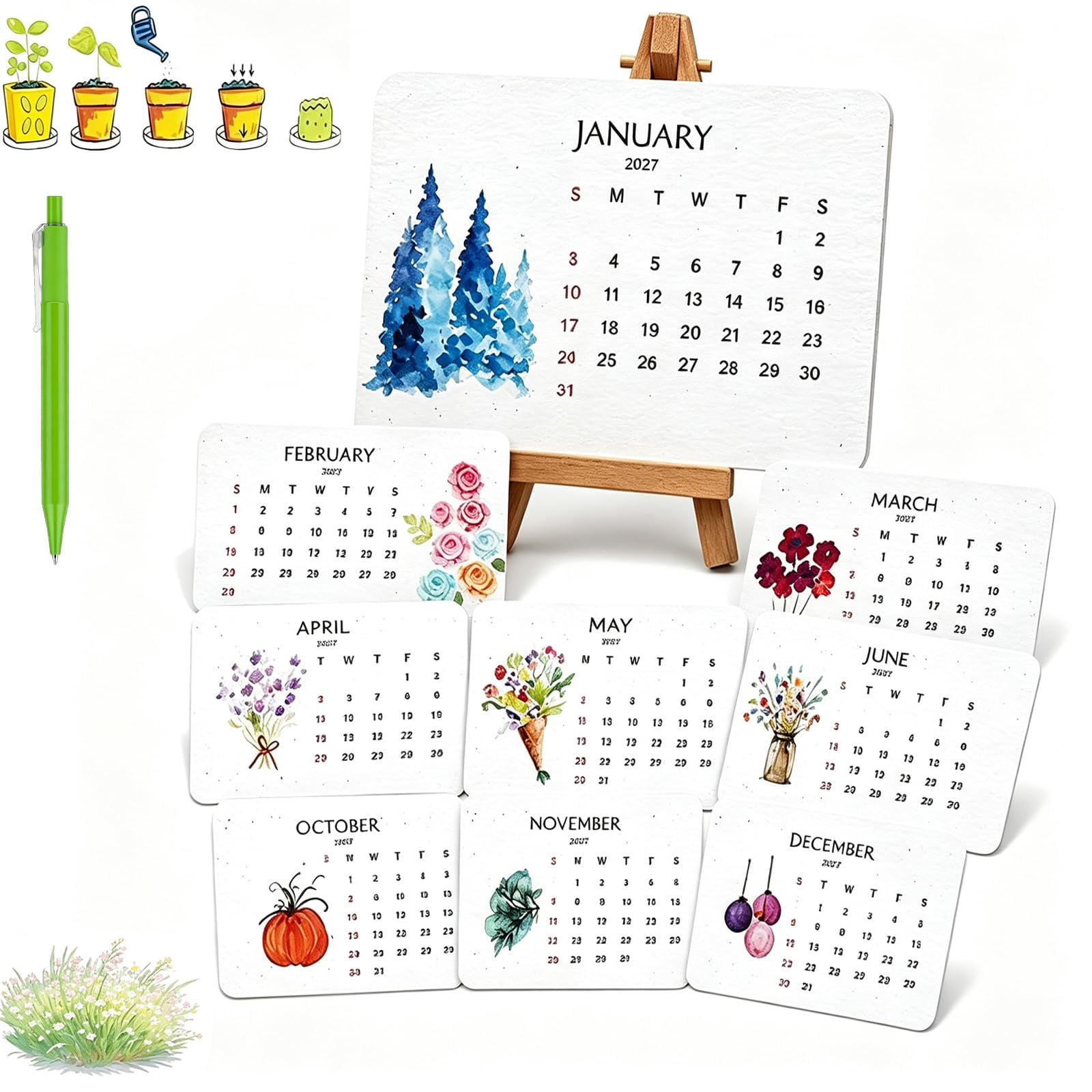 2027 plantable seed calendar 12 months Wildflower Seed Desk Calendar ...