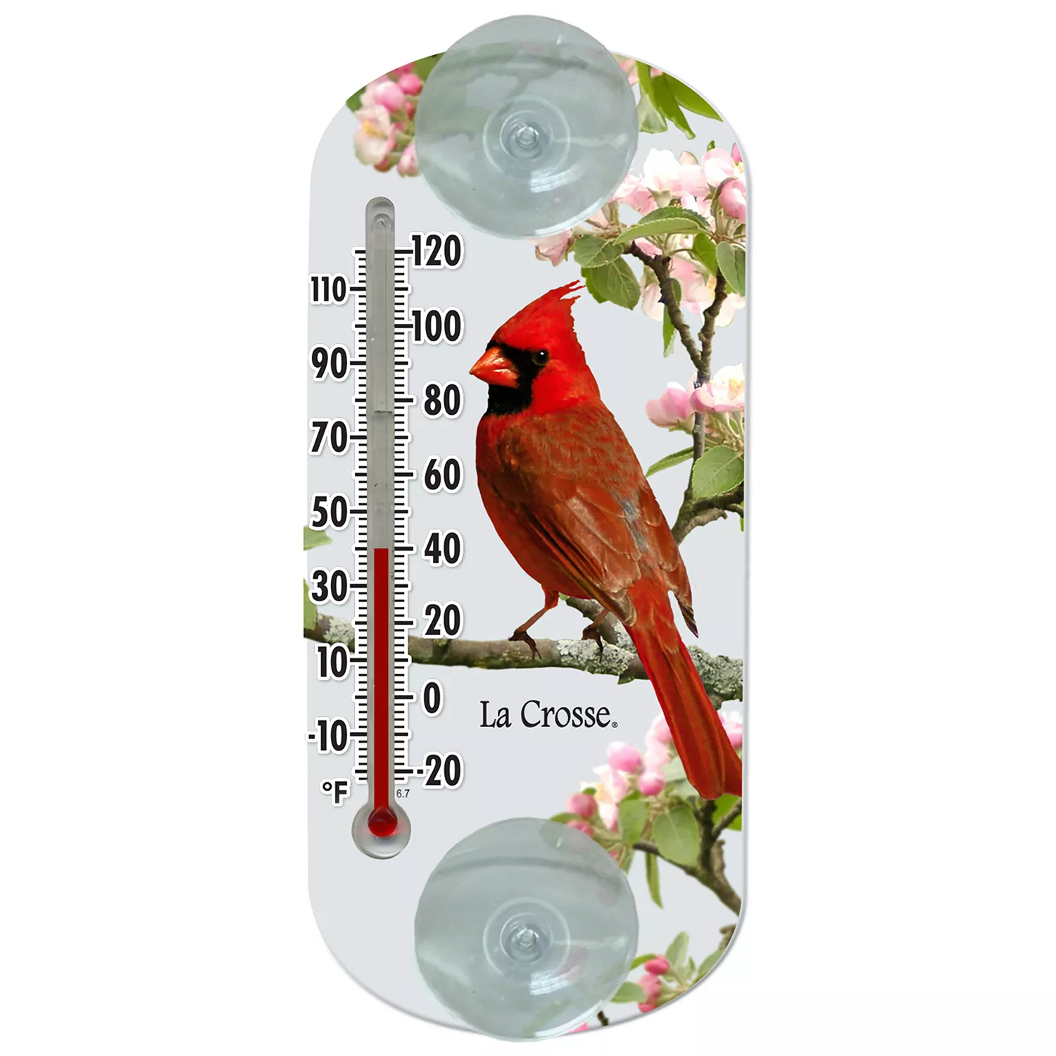 204-1081 La Crosse 8" Indoor/Outdoor Clear Window Thermometer - Cardinal