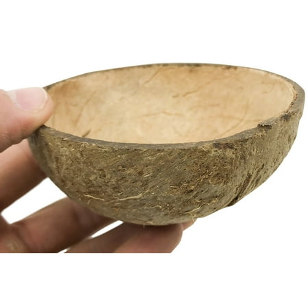 2054 Coconut Cup Flat Base
