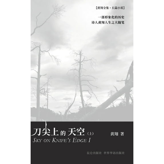 刀尖上的天空(上) (Hardcover)