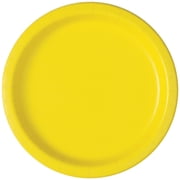 20CT 9" PLT NEON YLW