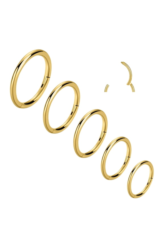 20G Hinged Nose Rings Hoop Surgical Steel Body Piercing Jewelry for Women Men Gold 5pcs