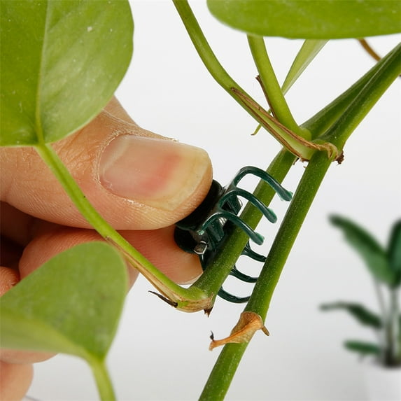 20PCS/100PCS Phalaenopsis Orchid Flower Clips | Plastic Plant Support Clips for Vines & Branches | Horticulture Gardening Fixing Clamps (20 or 100 Count)