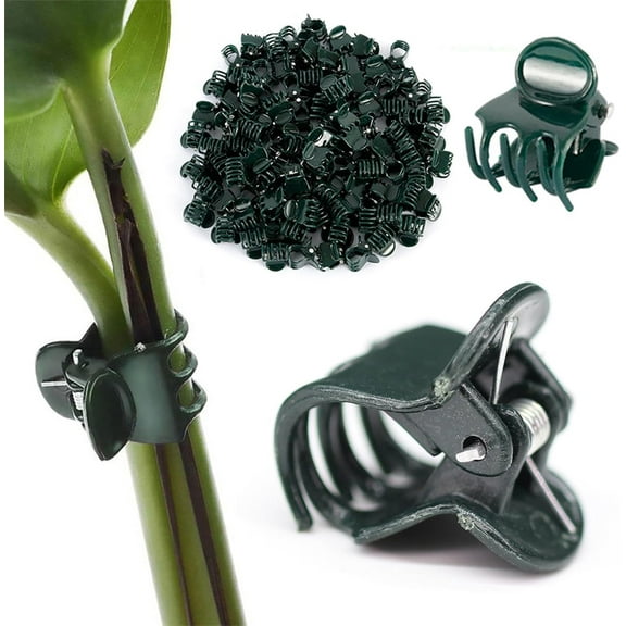 20PCS/100PCS Small Plant Clips for Climbing Plants, Plants Plastic Orchid Fixing Clips, Plant Support Clips for Outdoor Indoor Supporting Stems Vines Stalks Climbing Plant Grow Upright