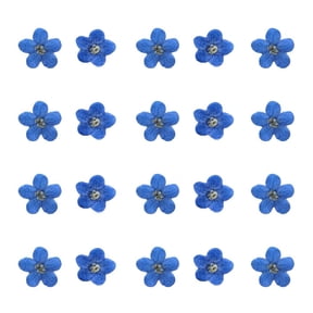 20PCS Blue Forget Me Not Flowers Dried Pressed Nature Art Craft' Fast K7Y6