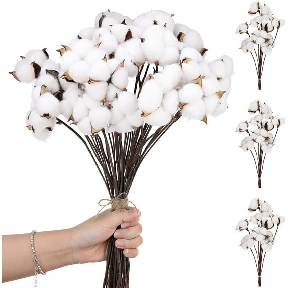 20PCS Cotton Stems, Cotton Flower Bolls, 10 Inch Cotton Branch, Natural Cotton Floral Plant Stick for Farmhouse Decor, Vase Fillers