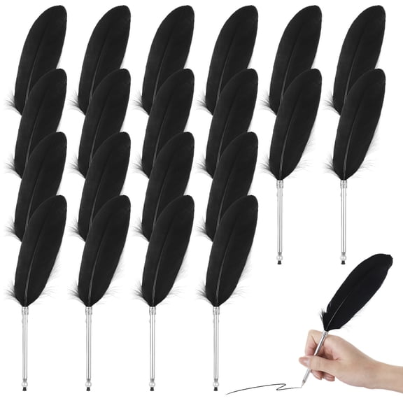 20PCS Feather Pens Bulk, Creative Plastic Quill Ballpoint Writing Pens for Learning Environments, Individuals, Office, Wedding Party Favors, Black Ink