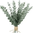 20PCS Leaves Greenery Branches Real For Floral Arrangement Vase Wedding