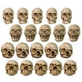 thumbnail image 1 of 20PCS Miniature Skeleton Heads Bulk Set - Realistic Halloween Skull Figurines for Vase Fillers, Table Decor, DIY Haunted House Projects, Party Prank Props, and Gothic Home Decoration, 1 of 9