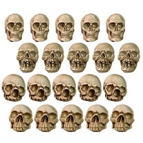 20PCS Miniature Skeleton Heads Bulk Set - Realistic Halloween Skull Figurines for Vase Fillers, Table Decor, DIY Haunted House Projects, Party Prank Props, and Gothic Home Decoration
