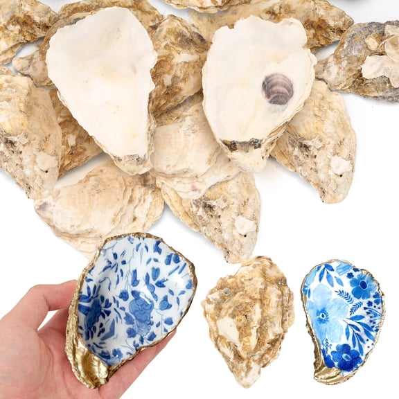 20PCS Natural Oyster Shells for Crafts Vase Filler DIY Sea Shell Decor 3-4 Inch Bulk