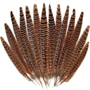 20PCS Pheasant Tail Feather for DIY Crafts Home Holiday Party Decorations, 10-12 inch Natural Feather