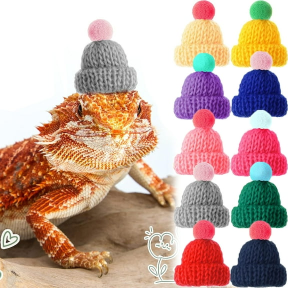 20PCS Snake Hat Hamster Hat with Adjustable Elastic Strap, Snake Ball Hamster Python Lizard Guinea Pig Knitted Hat with Pompon for Small Reptile Animal Decoration Accessories