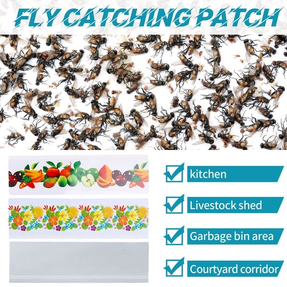 20PCS Window Fly Trap Sticky Paper Strips, Odorless Self-Adhesive Fly Catcher Patches, Disposable Clear Window Fly Glue Tape for Kitchen, Barn, Yard Flying Insects,B