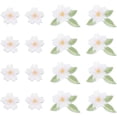 thumbnail image 1 of 20Pcs 2 Styles Flower Embroidery Cloth Sew on Appliques Blossoms Plum Flower Patch Iron on Applique Patche Repair Patch Embroidered Sewing Repair Badges for Clothes Dress Hat Jeans, 1 of 7