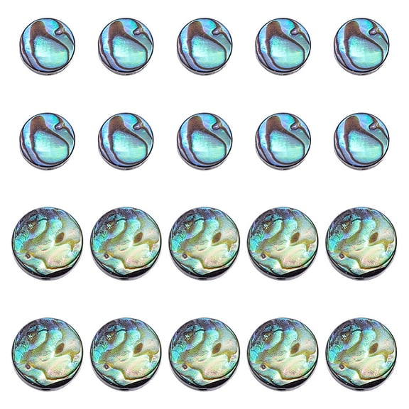 20Pcs 2 Styles Natural Abalone Shell Beads Flat Loose Abalone Shell Beads Round Beaded Strand Paua Shells Bead Strands for Bracelets