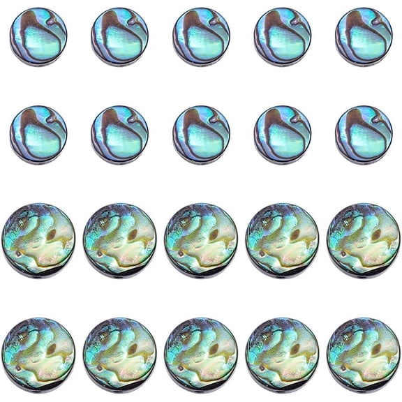20Pcs 2 Styles Natural Abalone Shell/Paua Shell Beads Strands Flat Round Colorful 8~10x3mm Hole: 0.5mm about 10pcs/style DIY
