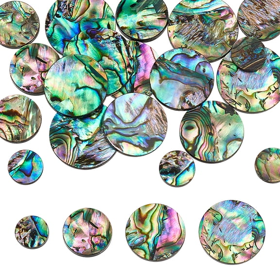 20Pcs 4 Styles Natural Abalone Shell/Paua Shell Cabochons with Acrylic Flat Round Colorful 10-20x1.2-1.8mm 5pcs/style
