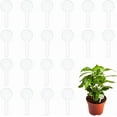thumbnail image 1 of 20Pcs Acrylic Plant Labels Transparent Round Blank Plant Tags DIY for Marking Waterproof Reusable Plant Sign Blanks Name Plate DIY for Plants Garden Decoration 3.5x1.5 inches, 1 of 5