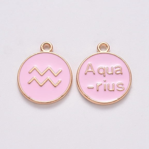 20Pcs Aquarius Charms Alloy Enamel Pendants Flat Round with 12 Constellation Jewelry Findings for Necklace Bracelet Jewelry Making Light Gold Pink 15x12x2mm Hole: 1.5mm