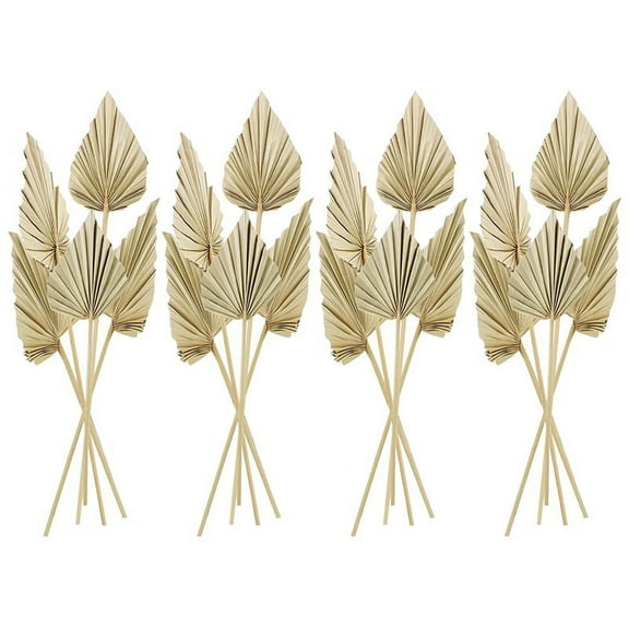 20Pcs Boho Dried Palm Spears Leaves , Small Real Fans, with Stem Leaf Decor Vase