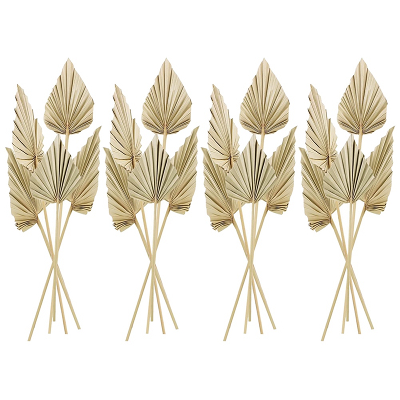 20Pcs Boho Dried Palm Spears Leaves , Small Dried Real Palm Fans, Dried ...