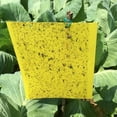 thumbnail image 1 of 20Pcs Double-Sided Sticky Insect Catching Boards With Strong Adhesive For Flies Gnats Mosquitoes Small Bugs - Disposable Pest Control For Home Kitchen Garden Patio Office Indoor, 1 of 7