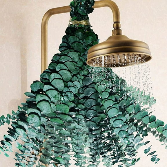 20Pcs Dried Eucalyptus Stems 20 "Natural Eucalyptus Leaves Artificial Eucalyptus Branches Wedding Bouquet Garland Aromatherapy Spa Home Decor Green