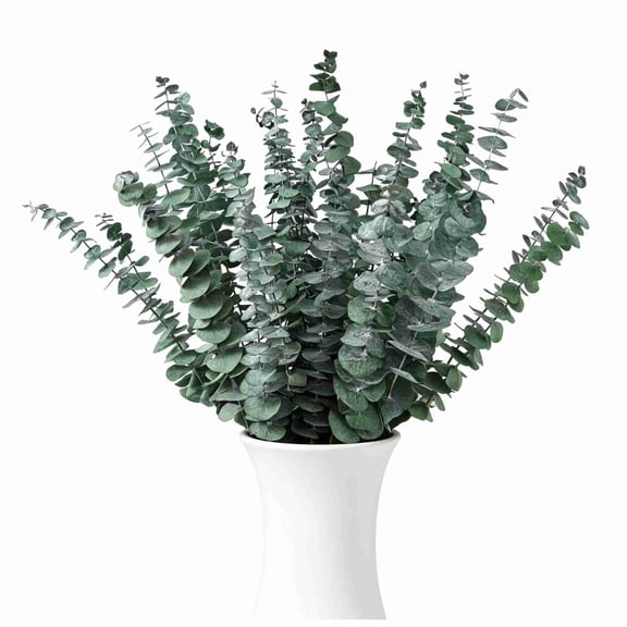 20Pcs Dried Eucalyptus Stems, Trianu 17" Natural Fresh Eucalyptus Branches for Shower, Real Plant for Vase Filler, Dried Flowers Arrangement, Floral Home Decor, Green