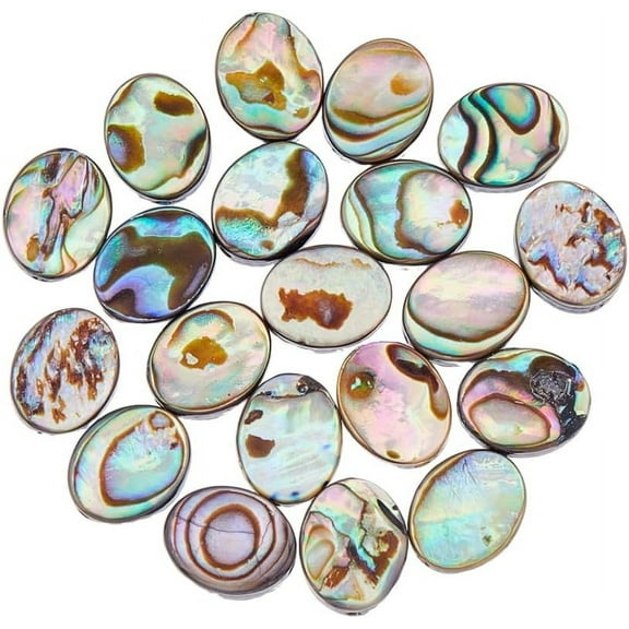 20Pcs Natural Abalone Shell Beads Paua Shell Beads Flat Shell Beads Oval Abalone Shell Beads Loose Spacer Beads for Earring Necklace Bracelet Jewelry Making