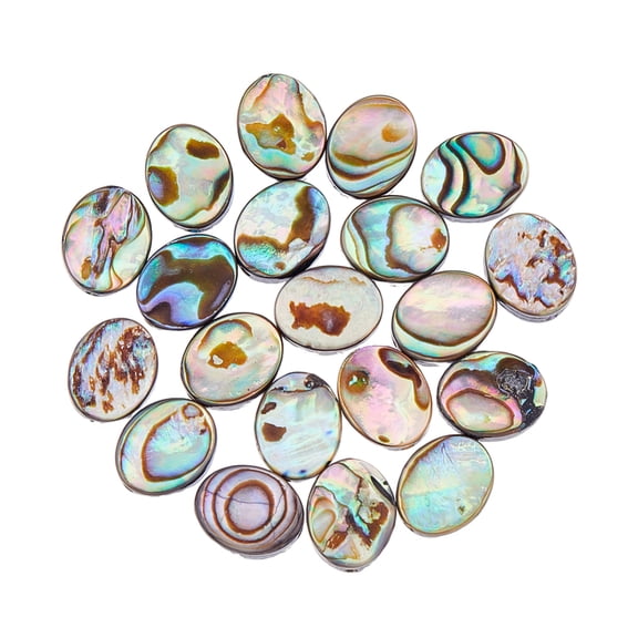 20Pcs Natural Abalone Shell Beads Paua Shell Beads Flat Shell Beads Oval Abalone Shell Beads Loose Spacer BeadsDIY
