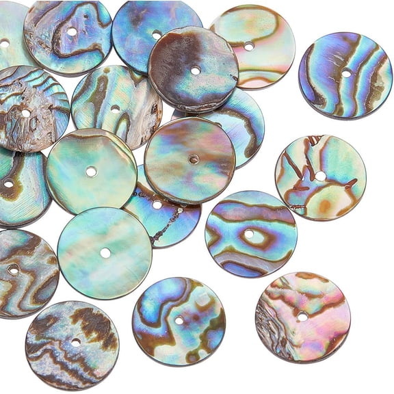 20Pcs Natural Paua Shell Beads Flat Round Colorful 11~12x1mm Hole: 1mm diy