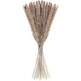 thumbnail image 1 of 20Pcs Pampas Grass, 60Cm Natural Pampas Flower Dried Flower Bouquet For Vases, Boho Decoration Bedroom Home Living Room, Wedding Photograph Table Decoration, Natural Pampas Grass Reeds, 1 of 6